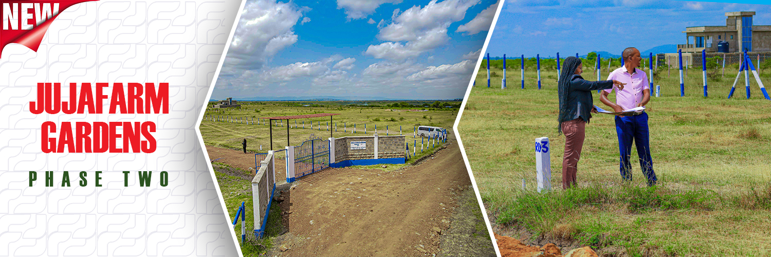 Affordable Plots for sale